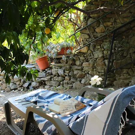 Private Garden & Sea View - And Peaceful